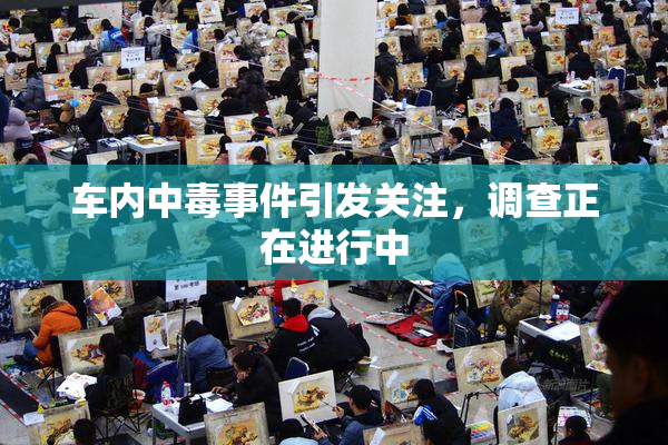 车内中毒事件引发关注，调查正在进行中