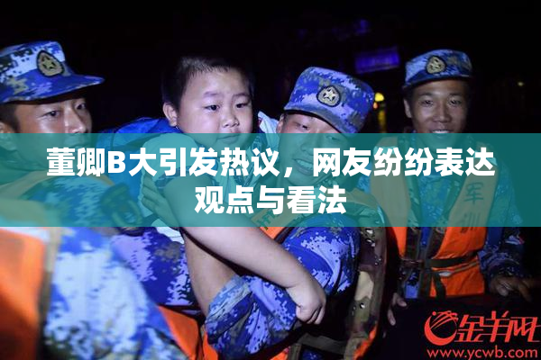董卿B大引发热议，网友纷纷表达观点与看法