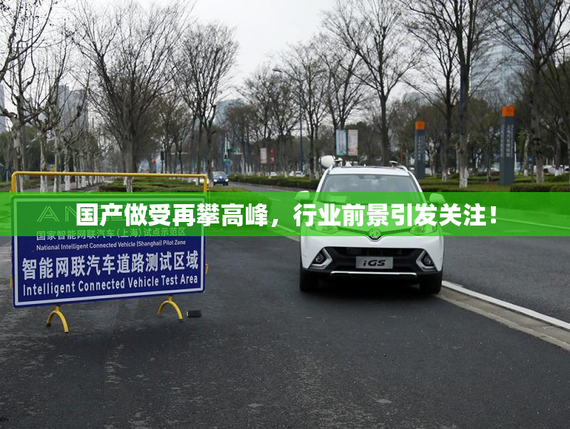 国产做受再攀高峰，行业前景引发关注！