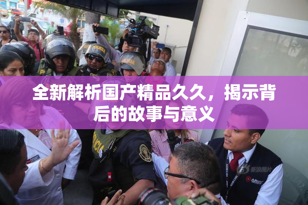 全新解析国产精品久久，揭示背后的故事与意义