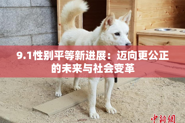 9.1性别平等新进展：迈向更公正的未来与社会变革