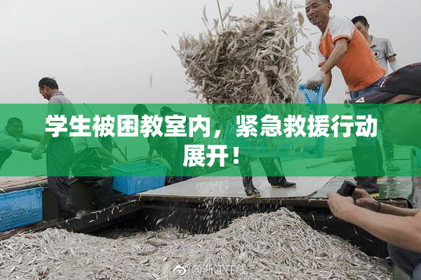 学生被困教室内，紧急救援行动展开！