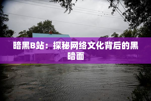 暗黑B站：探秘网络文化背后的黑暗面