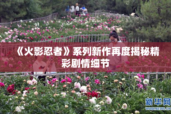 《火影忍者》系列新作再度揭秘精彩剧情细节