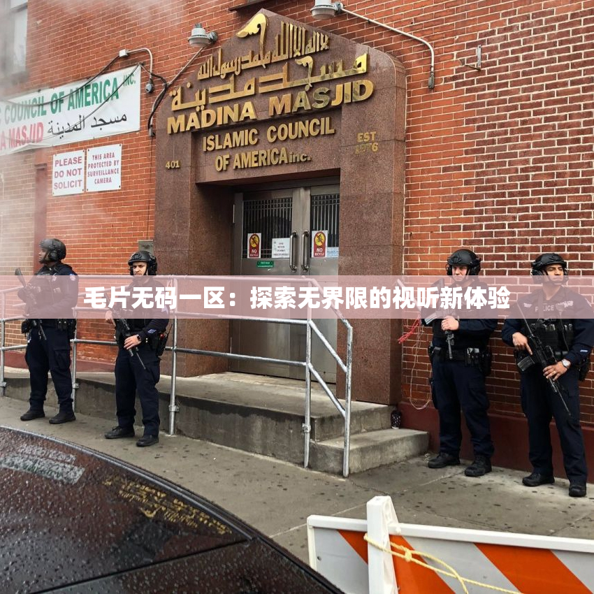 毛片无码一区：探索无界限的视听新体验
