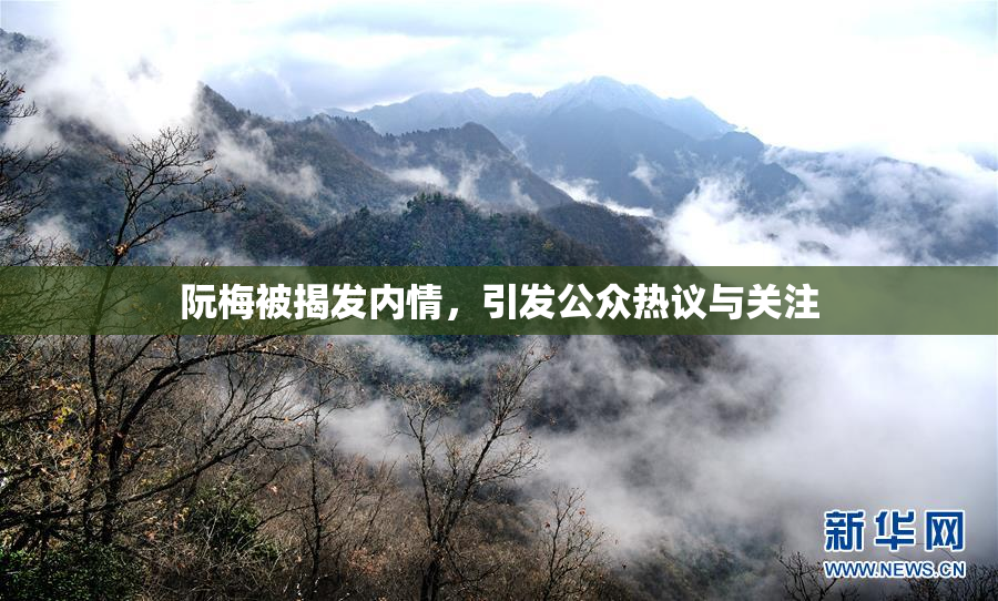 阮梅被揭发内情，引发公众热议与关注