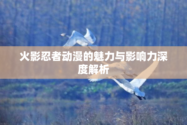火影忍者动漫的魅力与影响力深度解析