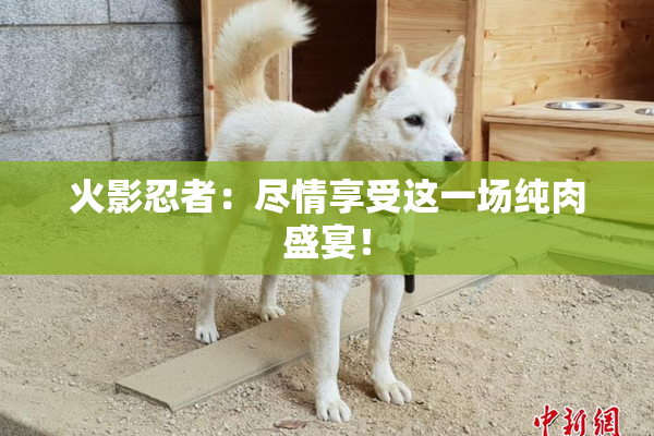 火影忍者：尽情享受这一场纯肉盛宴！