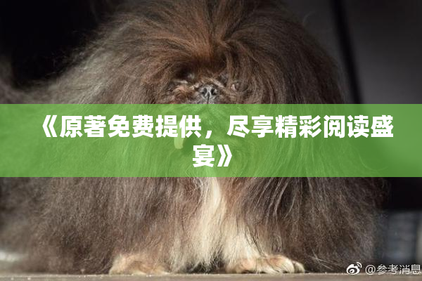 《原著免费提供，尽享精彩阅读盛宴》