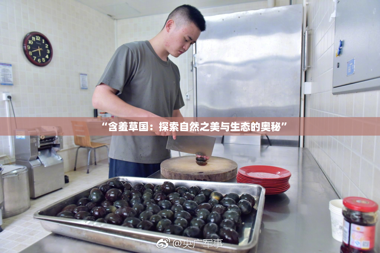 “含羞草国：探索自然之美与生态的奥秘”