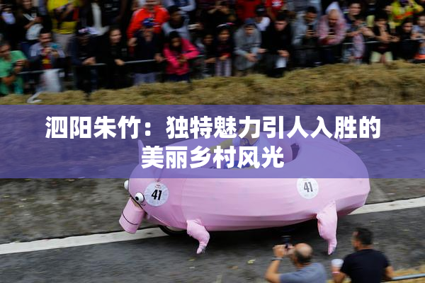 泗阳朱竹：独特魅力引人入胜的美丽乡村风光