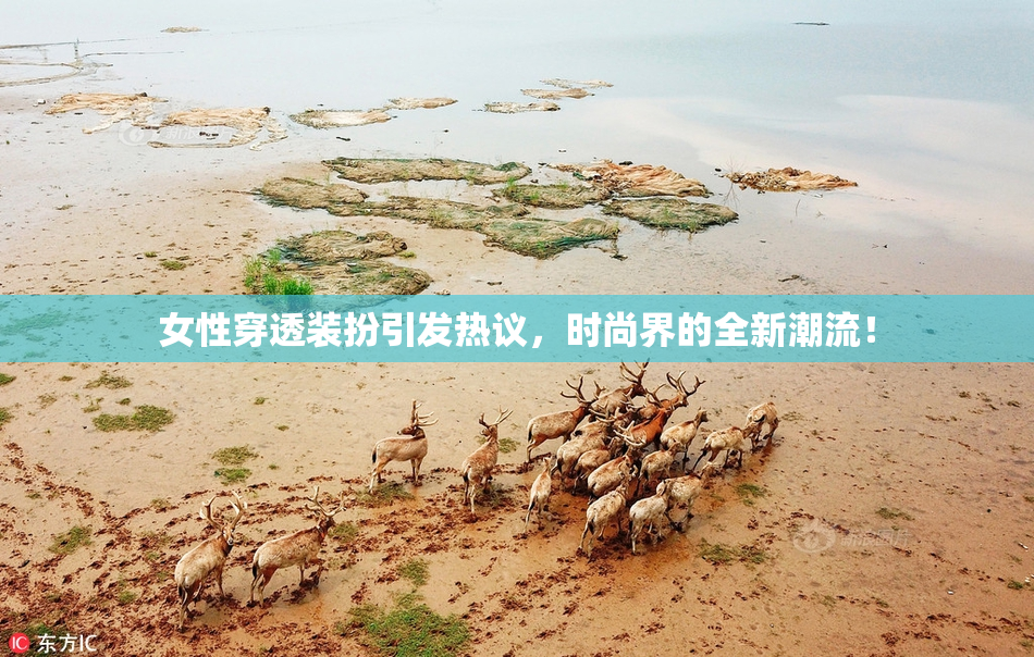 女性穿透装扮引发热议，时尚界的全新潮流！