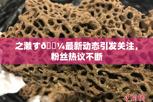 之濑す🌼最新动态引发关注，粉丝热议不断