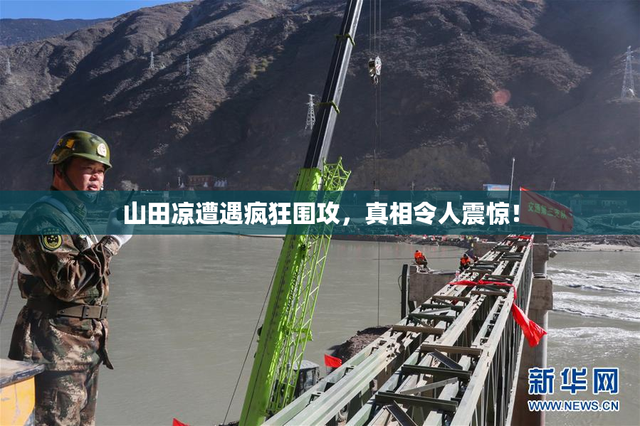 山田凉遭遇疯狂围攻，真相令人震惊！