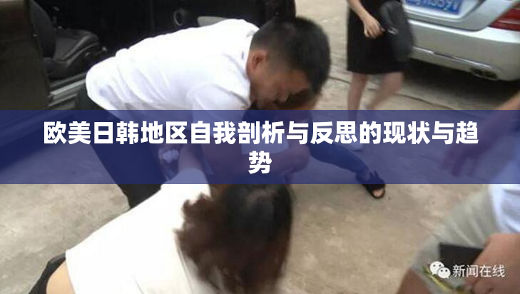 欧美日韩地区自我剖析与反思的现状与趋势