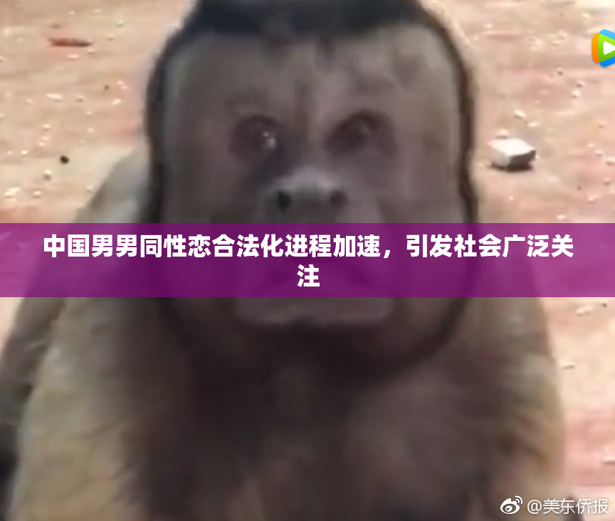 中国男男同性恋合法化进程加速，引发社会广泛关注