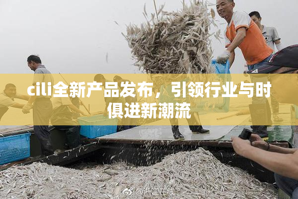 cili全新产品发布，引领行业与时俱进新潮流