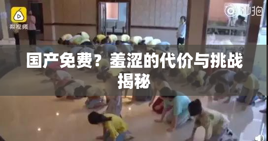 国产免费？羞涩的代价与挑战揭秘