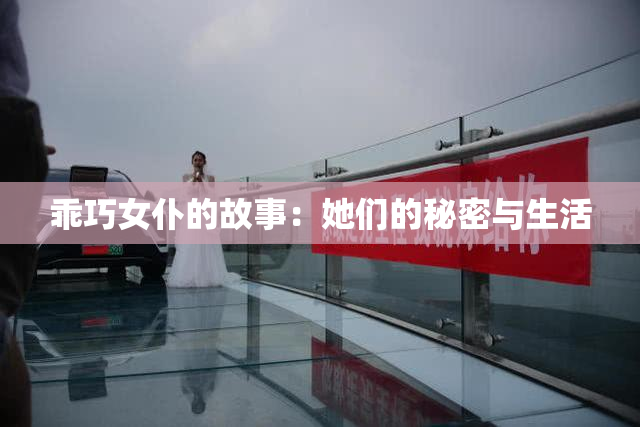 乖巧女仆的故事：她们的秘密与生活