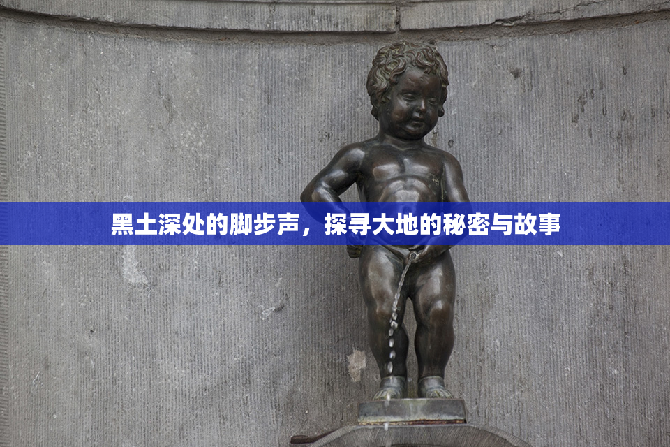 黑土深处的脚步声，探寻大地的秘密与故事