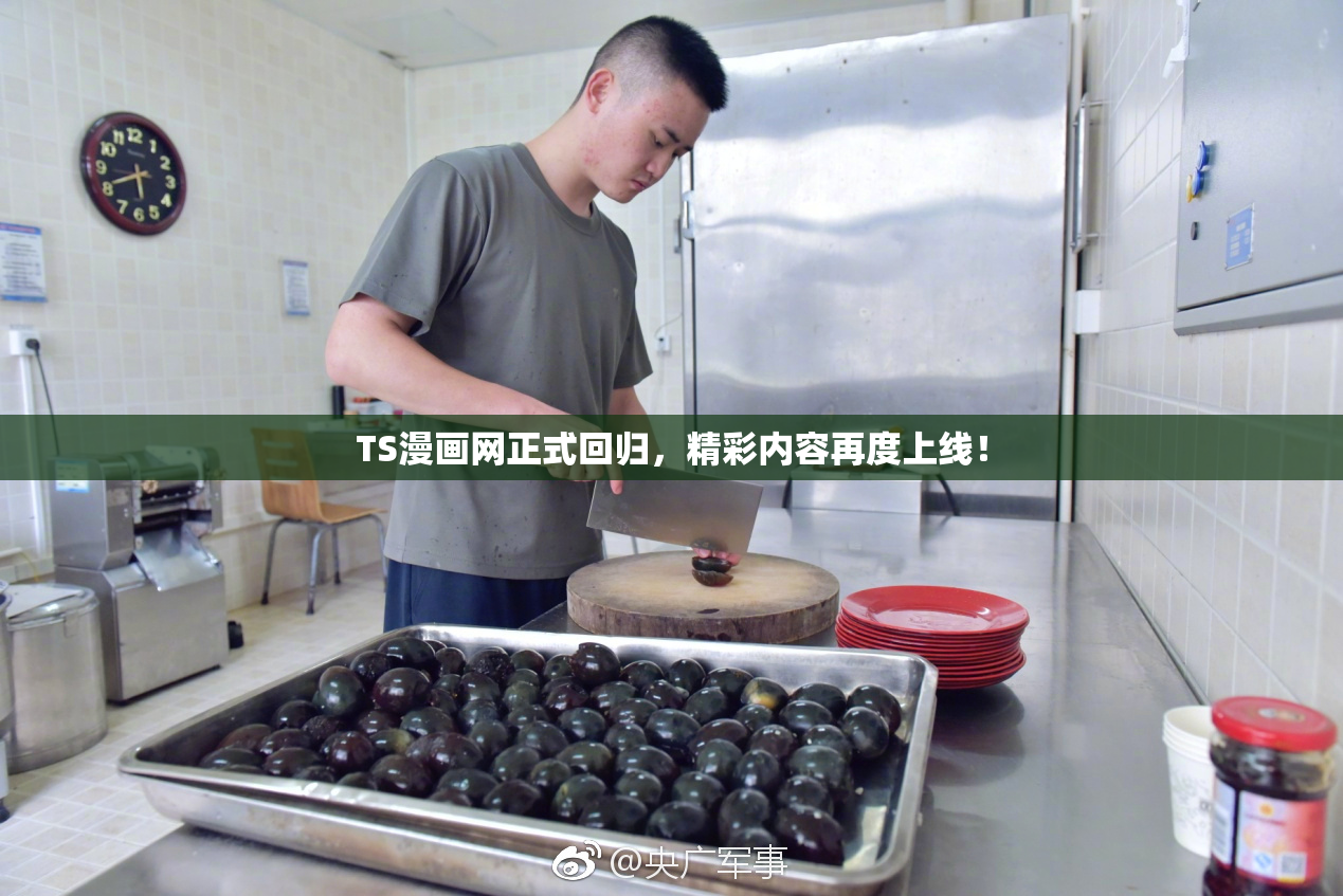 TS漫画网正式回归，精彩内容再度上线！
