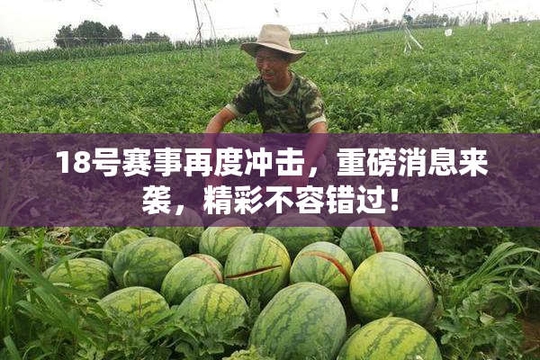 18号赛事再度冲击，重磅消息来袭，精彩不容错过！