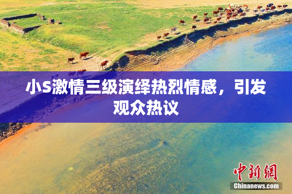 小S激情三级演绎热烈情感，引发观众热议