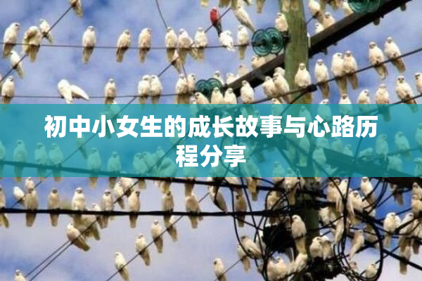 初中小女生的成长故事与心路历程分享