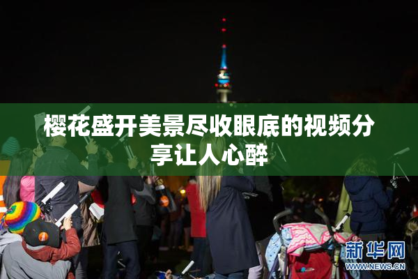 樱花盛开美景尽收眼底的视频分享让人心醉