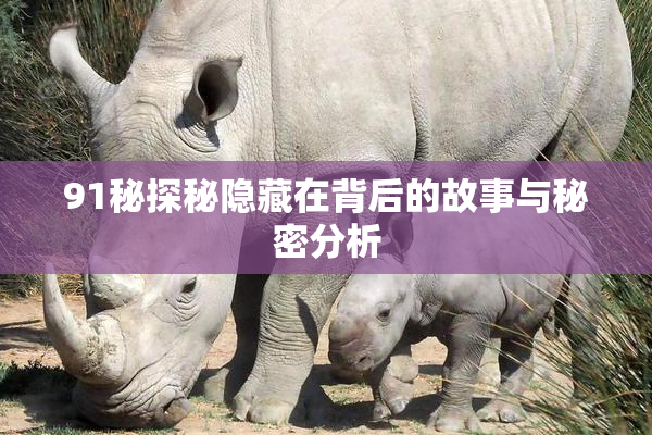 91秘探秘隐藏在背后的故事与秘密分析
