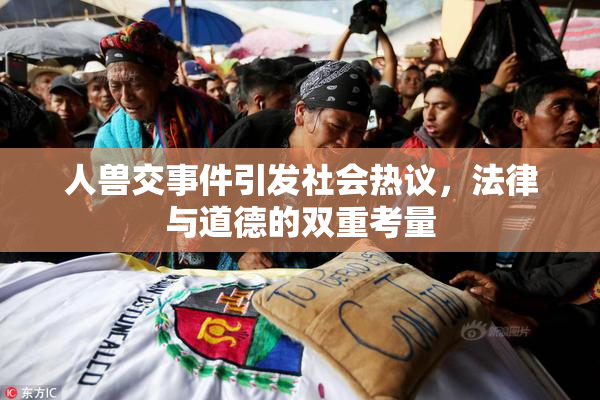 人兽交事件引发社会热议，法律与道德的双重考量