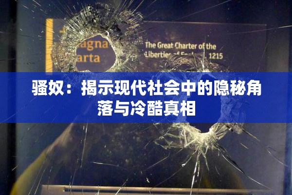 骚奴：揭示现代社会中的隐秘角落与冷酷真相