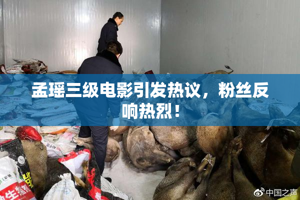 孟瑶三级电影引发热议，粉丝反响热烈！