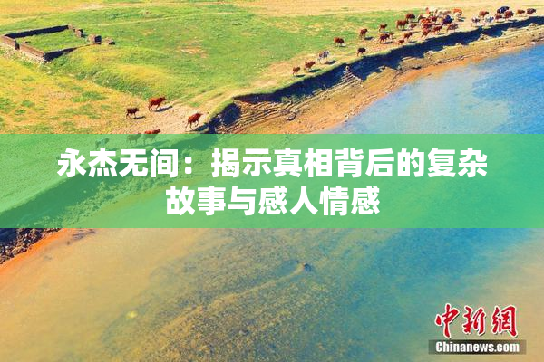 永杰无间：揭示真相背后的复杂故事与感人情感