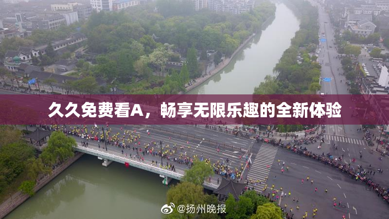 久久免费看A，畅享无限乐趣的全新体验