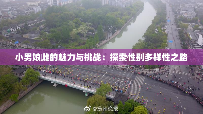 小男娘雌的魅力与挑战：探索性别多样性之路