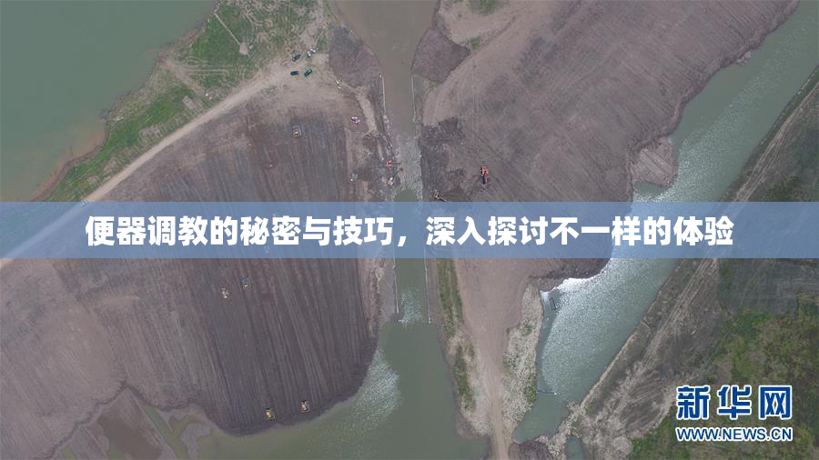 便器调教的秘密与技巧，深入探讨不一样的体验