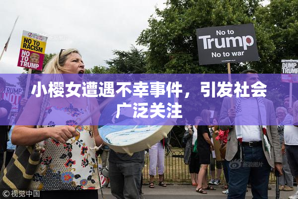 小樱女遭遇不幸事件，引发社会广泛关注