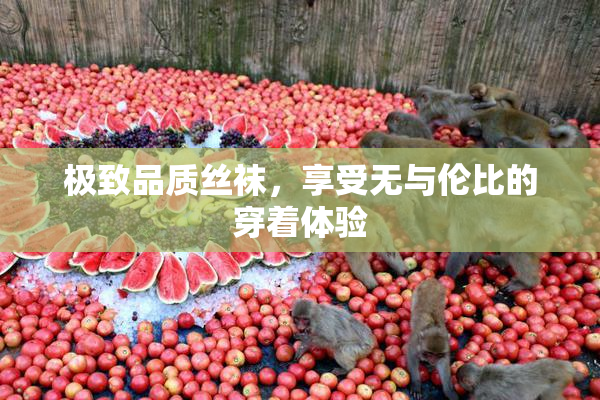 极致品质丝袜，享受无与伦比的穿着体验