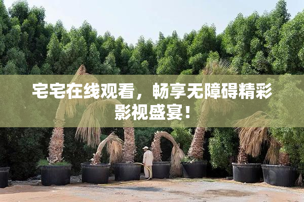 宅宅在线观看，畅享无障碍精彩影视盛宴！