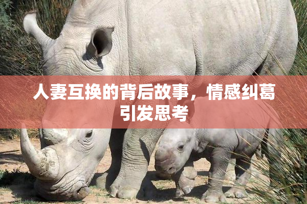 人妻互换的背后故事，情感纠葛引发思考