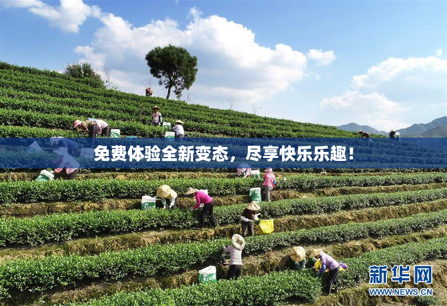 免费体验全新变态，尽享快乐乐趣！
