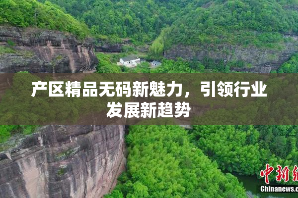 产区精品无码新魅力，引领行业发展新趋势