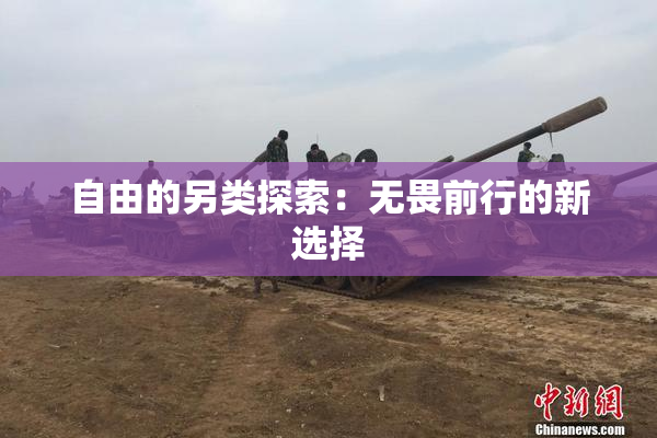 自由的另类探索：无畏前行的新选择