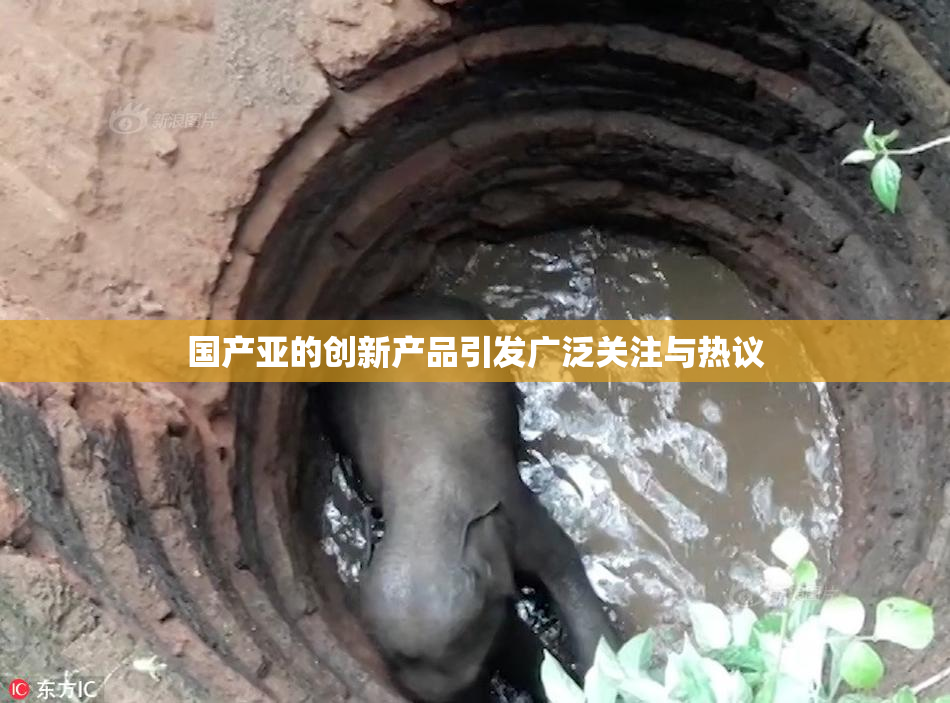 国产亚的创新产品引发广泛关注与热议