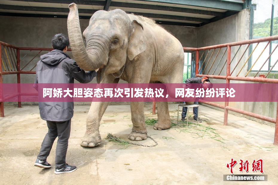 阿娇大胆姿态再次引发热议，网友纷纷评论