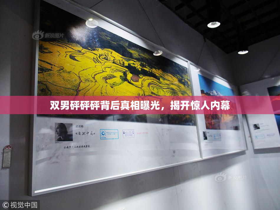 双男砰砰砰背后真相曝光，揭开惊人内幕