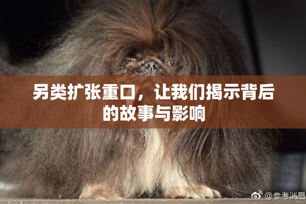 另类扩张重口，让我们揭示背后的故事与影响