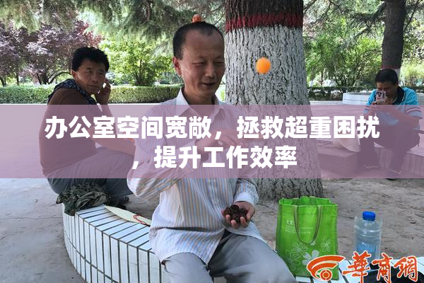 办公室空间宽敞，拯救超重困扰，提升工作效率