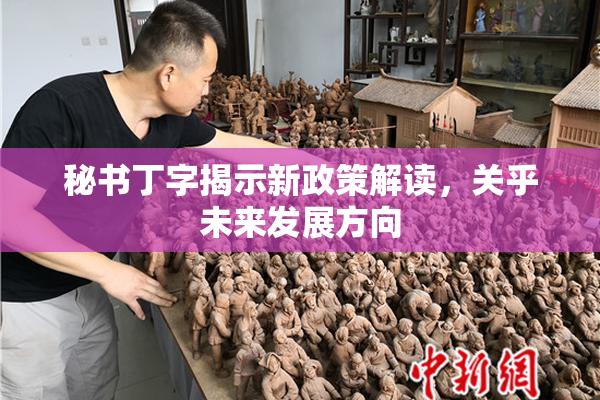 秘书丁字揭示新政策解读，关乎未来发展方向